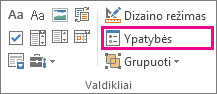 kūrėjo režimo valdiklių ypatybės