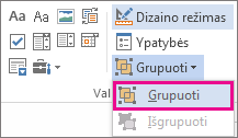 kūrėjo režimo grupės valdikliai