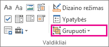 kūrėjo režimo mygtukas grupuoti