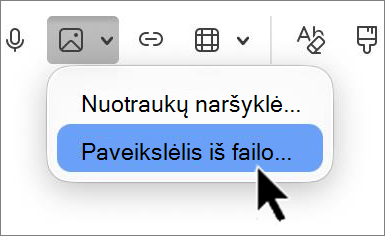'outlook-mac-insert-picture-screenshot