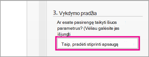 Vykdymo pradžia