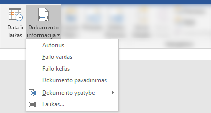 Ekrano kopija, kurioje matyti Word juostelės mygtukai Dokumento informacija ir Data & laikas