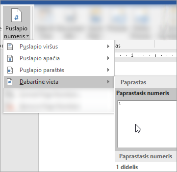 Ekrano nuotrauka, kurioje rodomas paprastojo formato puslapio numerio pasirinkimas dabartinėje dokumento vietoje