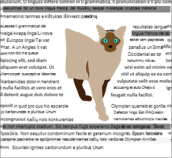 Apvyniokite abiejose pusėse