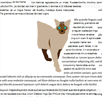 Tik dešinės pusės laužymas