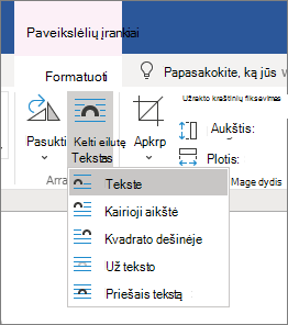 Teksto kėlimo parinktys