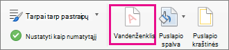 Vandenženklio parinktis paryškinta skirtuke Dizainas.