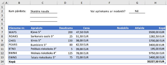Pasūtījuma veidlapas piemērs bez pielāgotas funkcijas