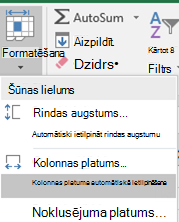 Mājas attēls > Kolonnas platuma automātiskās ietilpināšanas formatēšana >