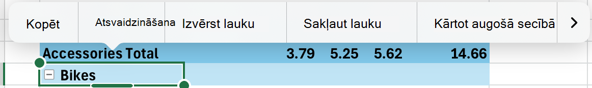 Izvērsiet vai sakļaujiet PivotTable lauku ierīcē iPad, izmantojot kontekstizvēlni.