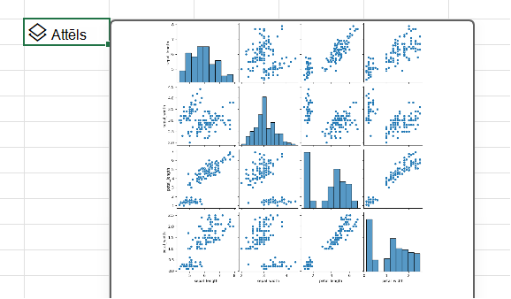 Izmantojiet Python programmā Excel, lai izveidotu pāru diagrammu ar seaborn bibliotēku.