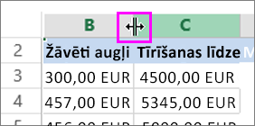 kolonnas platuma maiņa