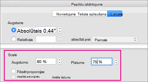 Cilnes Lielums lodziņā Papildu izkārtojums ir iezīmētas mēroga opcijas.