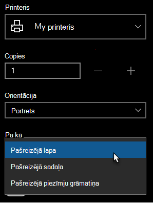 Printera dialogs ar atlasītu vienu lapu