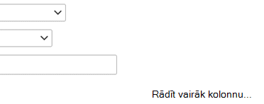 Ja filtra definīcijai jāpievieno vēl viens ieraksts, atlasiet Rādīt vairāk kolonnu.