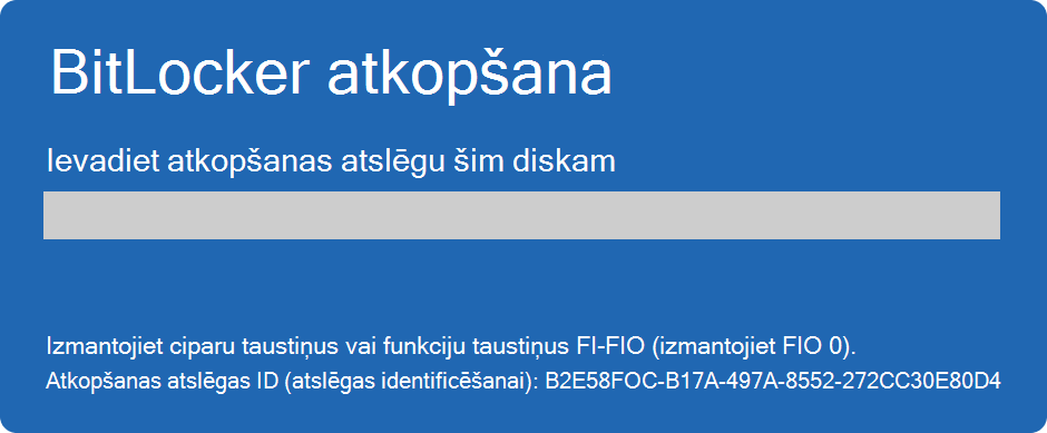 Screenshot of the BitLocker recovery screen.