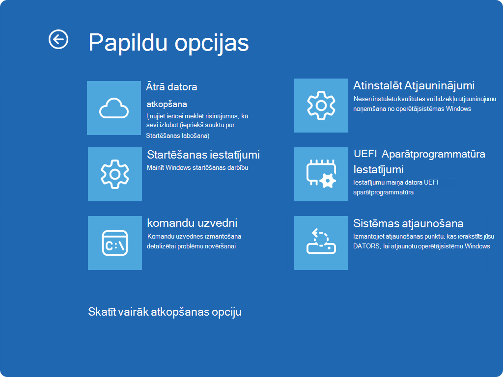 Windows RE ekrānuzņēmums, kurā redzamas papildu opcijas un jaunais QMR ieraksts.