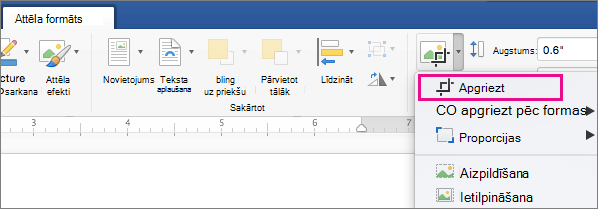 Cilnē Attēla formatēšana ir iezīmēta opcija Apgriezt.