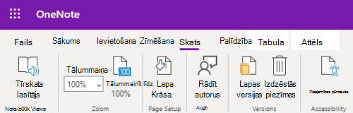 Tālummaiņas vadīklas programmā OneNote tīmeklim.