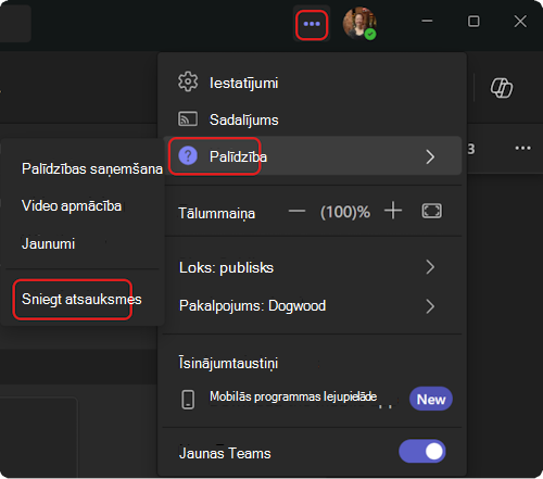 Kā piekļūt palīdzības izvēlnei programmā Teams.