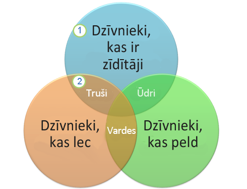 Venna shēma