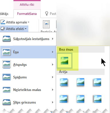 Izslēdziet nevajadzīgu attēla efektu, izvēloties opciju Bez efekta.