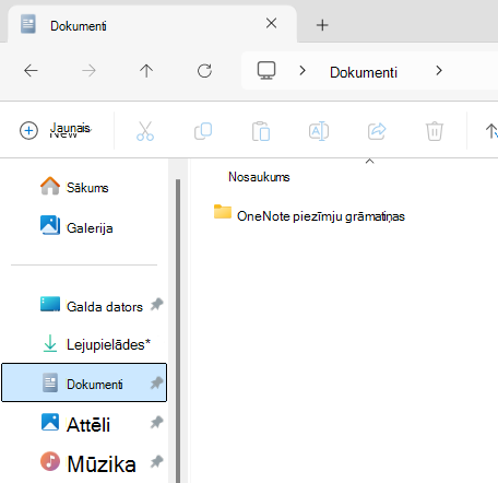 Dokumentu mape, kurā redzama OneNote piezīmju grāmatiņas apakšmape.