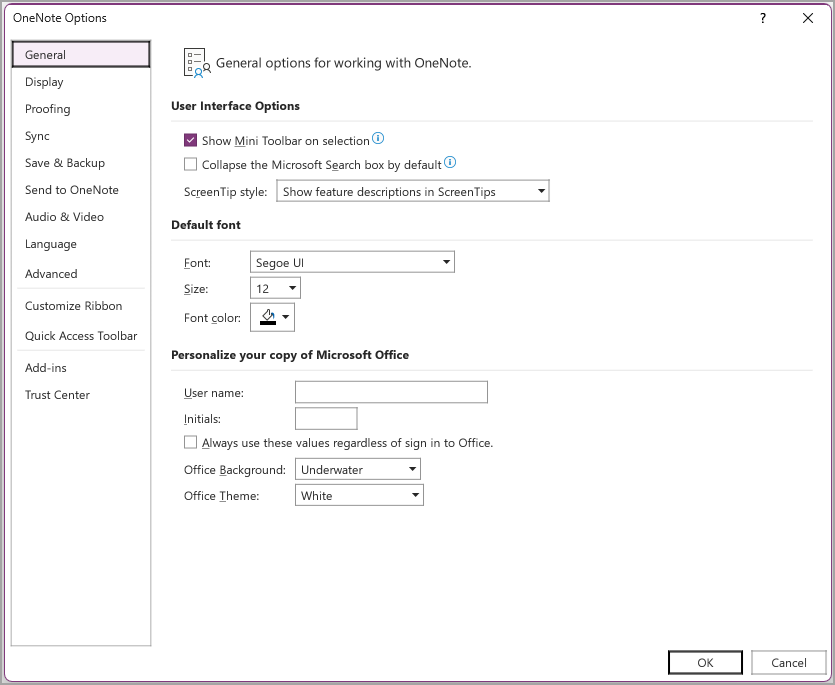 pārlūkot OneNote ekrānuzņēmumu twenty eight.png