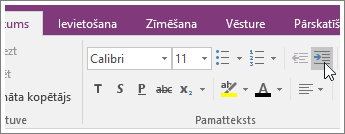 Ekrānuzņēmums, kurā redzama poga Palielināt atkāpi programmā OneNote 2016.