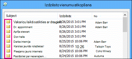 Visiem vienumu tipiem ir vienādas ikonas atkopjamo vienumu mapē