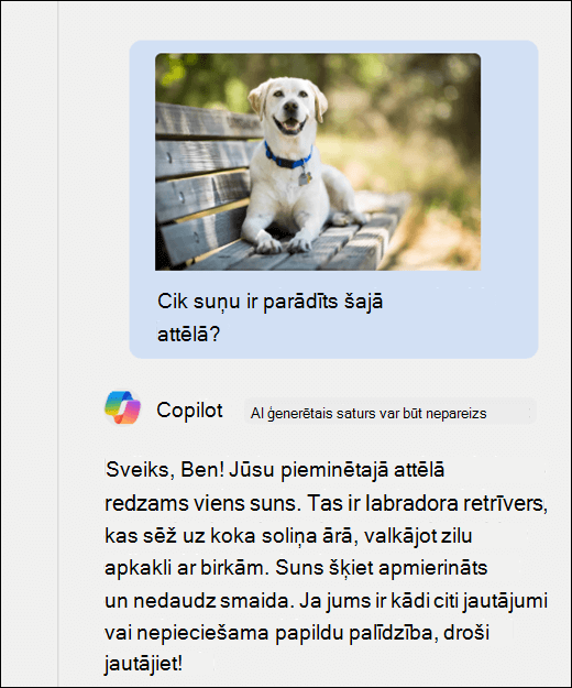 Copilot ekrānuzņēmums. Kopā ar uzvedni ir ielīmēts suņa attēls Cik suņu ir parādīts šajā attēlā? Copilot atbildēja precīzi un sniedza papildu attēla aprakstu.