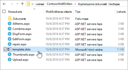 Veidņu glabāšanas veidlapas mape