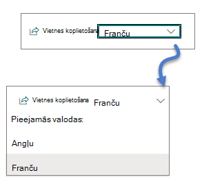 Valodas nolaižamā izvēlne