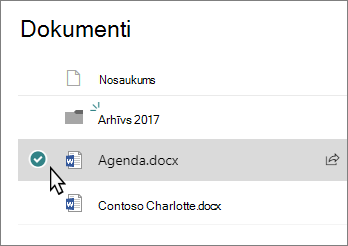 Bibliotēkas ekrānuzņēmums ar atlasītu failu