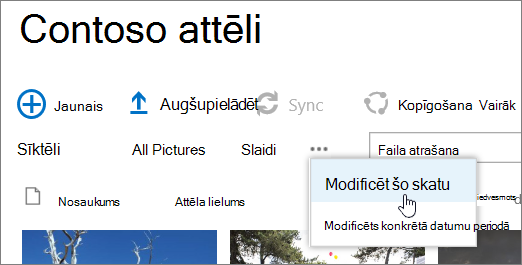 Attēlu bibliotēkas skata josla ar atlasītu skatu Modificēt skatu