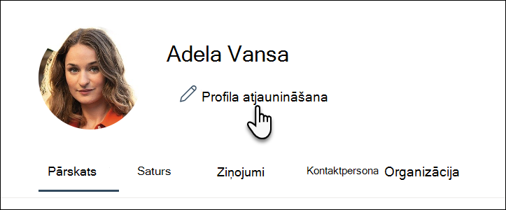 Profila atjaunināšana