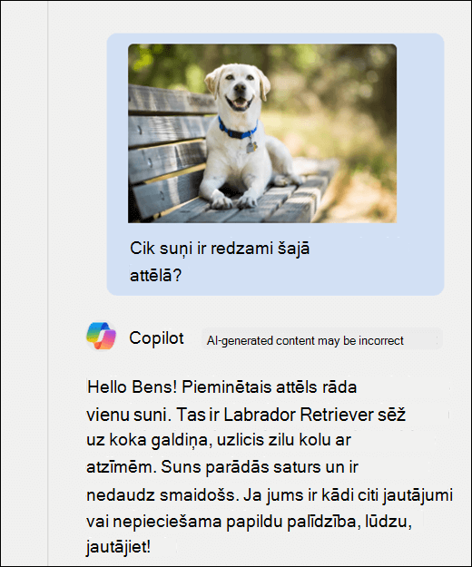 Copilot ekrānuzņēmums. Kopā ar uzvedni ir ielīmēts suņa attēls Cik suņu ir parādīts šajā attēlā? Copilot atbildēja precīzi un sniedza papildu attēla aprakstu.