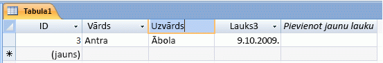 typing new field name in access table