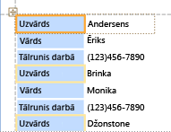 Grupēts vadīklu pamatizkārtojums