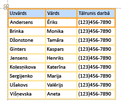 'Tabulārs vadīklu pamatizkārtojums