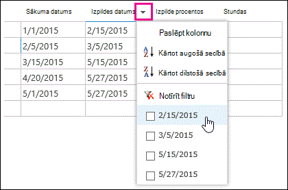 Filtra lietošana datu lapas laukam Izpildes datums.