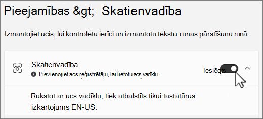 Pieejamības iestatījumu loga sadaļa Skatienvadība