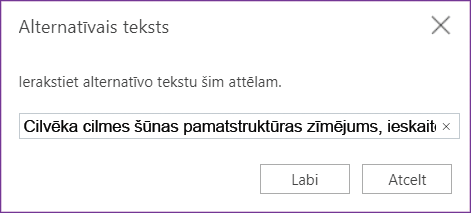Dialoglodziņš Alternatīvais teksts programmā OneNote tīmeklim