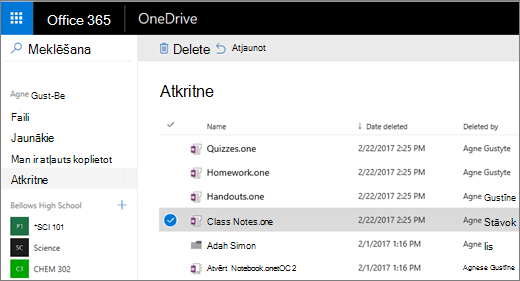 OneDrive atkritne ar piezīmju grāmatiņas lapu sarakstu.