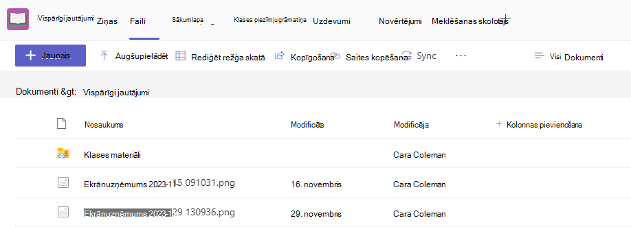 Ekrānuzņēmums ar failiem.