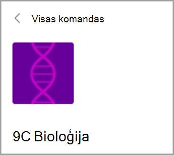 Atgriezties pie Visas komandas.