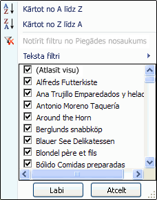 Automātiskais filtrs