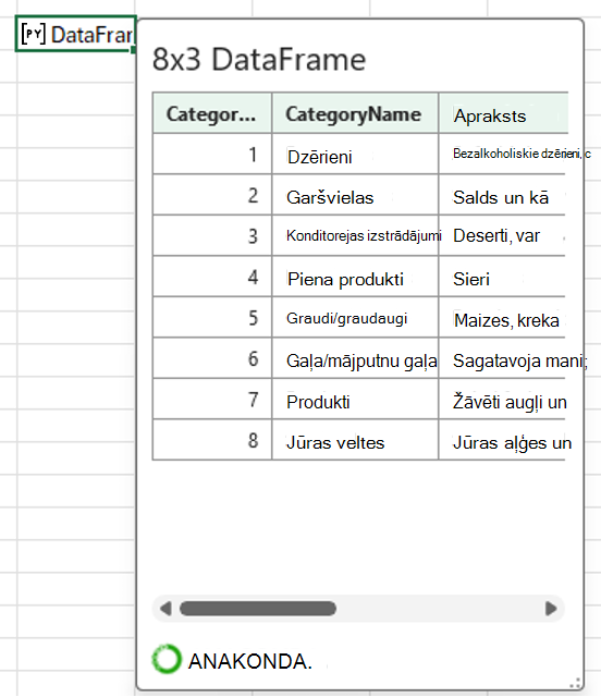 Atvērta Python programmatūrā Excel DataFrame kartīte, kurā redzami kategoriju dati.