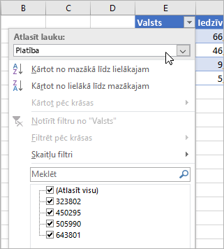Filtru izvēlne, parādāmo vērtību izvēlne, norādīto saistīto datu tipu lauki
