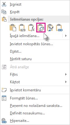 Izvēlne Ielīmēšanas opcijas